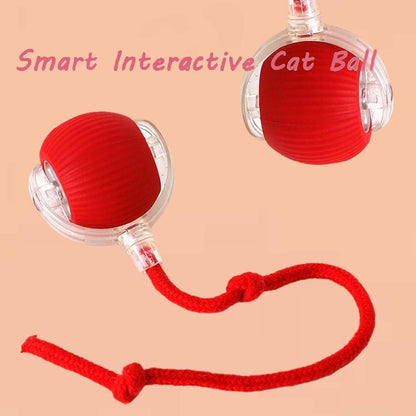 Viral Rolling Ball – Smart Interactive Cat Toy | Automatic Self-Rotating Ball for Endless Fun 🐈