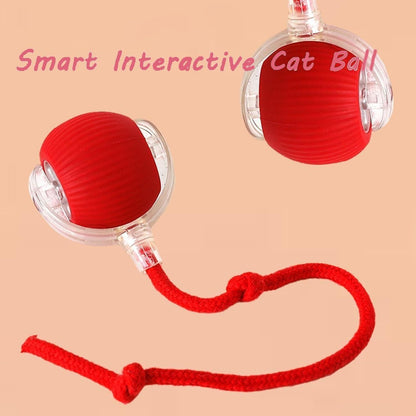 Viral Rolling Ball – Smart Interactive Cat Toy | Automatic Self-Rotating Ball for Endless Fun 🐈