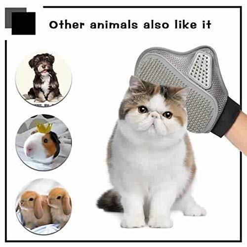 Stainless Steel Pet Grooming Glove – Gentle Deshedding Brush for Happy Pets 🐶🐱