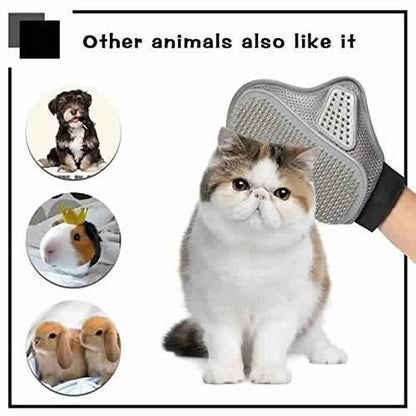 Stainless Steel Pet Grooming Glove – Gentle Deshedding Brush for Happy Pets 🐶🐱