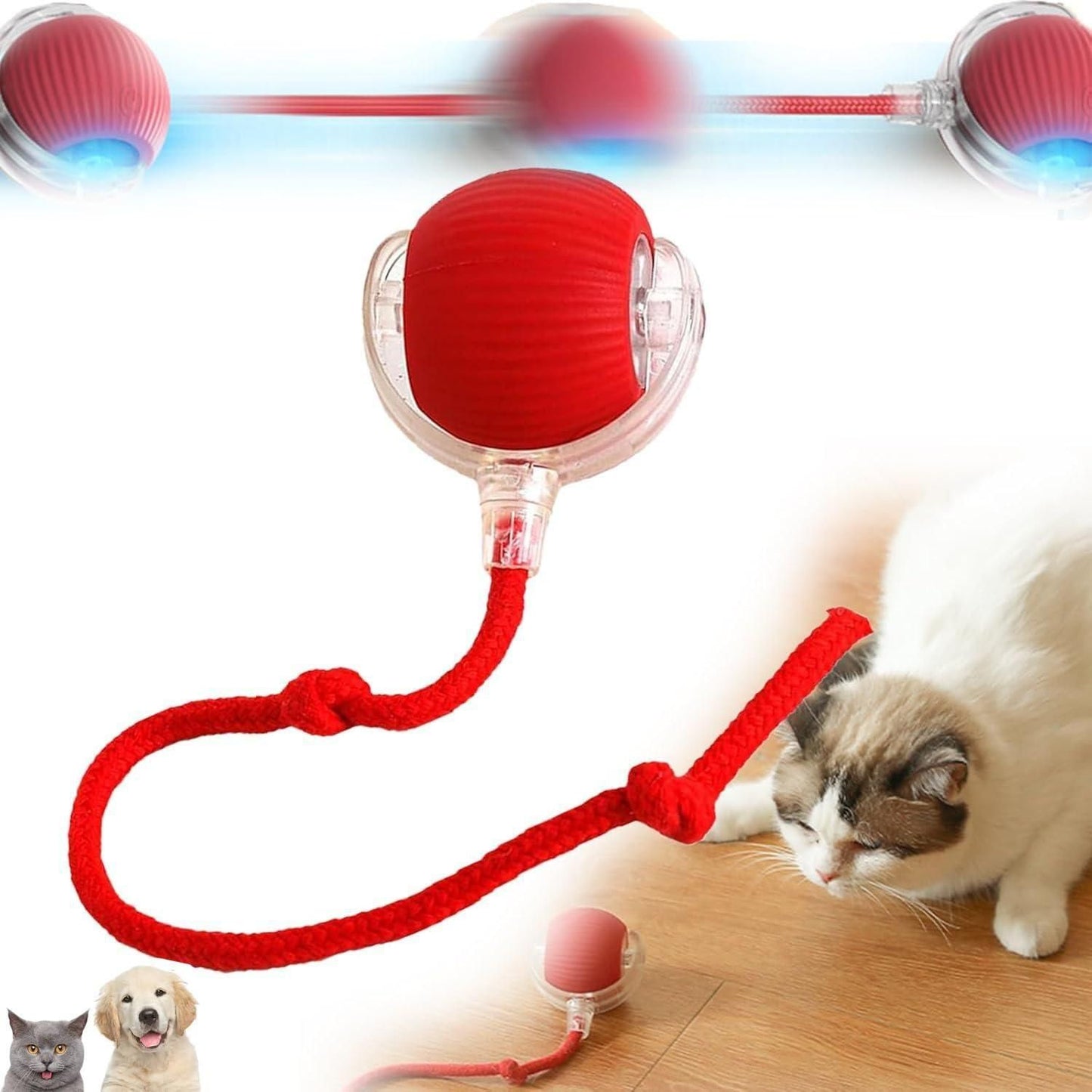 Viral Rolling Ball – Smart Interactive Cat Toy | Automatic Self-Rotating Ball for Endless Fun 🐈