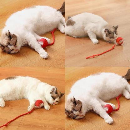 Viral Rolling Ball – Smart Interactive Cat Toy | Automatic Self-Rotating Ball for Endless Fun 🐈